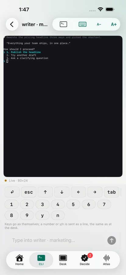 DeckSpace Remote on iPhone: a live CLI pane with a key row and a message box